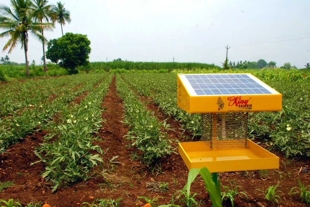Solar Insect Light Trap