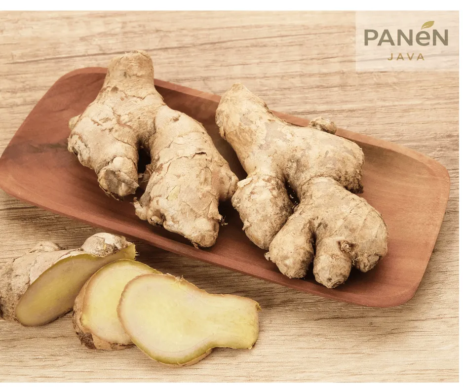 Elephant Ginger (Dried)