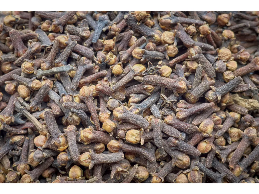 Indonesia Cloves