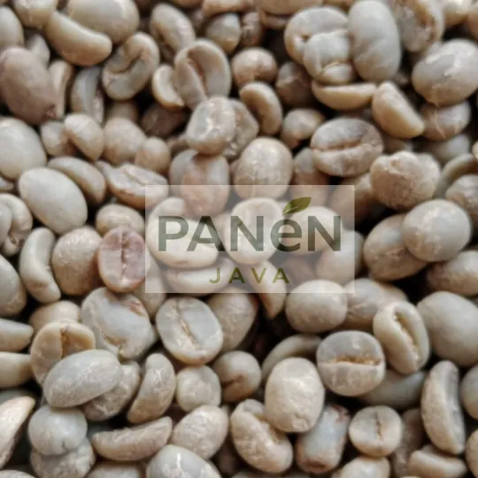 Sumatra Arabica Gayo Green bean