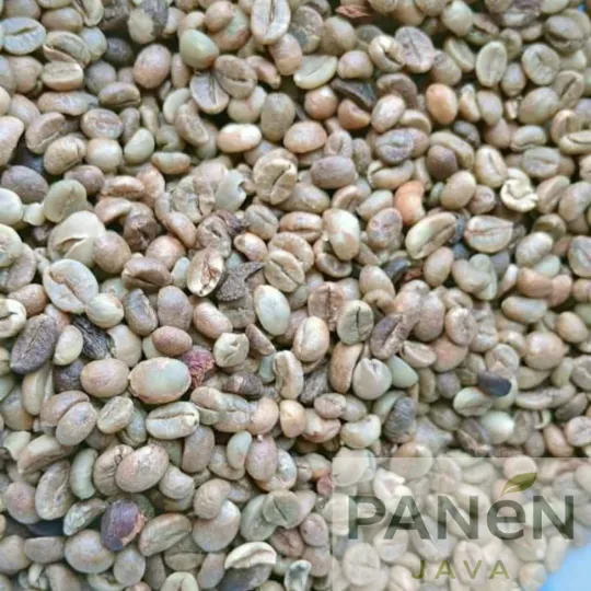 Sumatra Robusta (Green Bean)