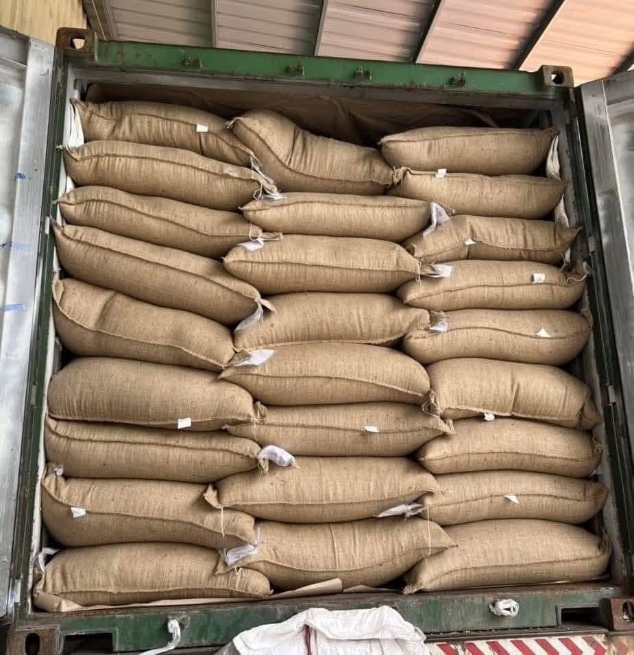 High quality Kenya/Uganda Coffee Beans